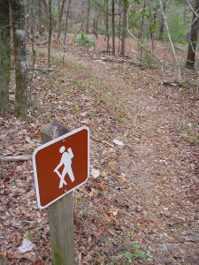 Hiking and biking trails are popular in Oneida County, Wisconsin